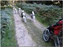 Tour Odenwald 046